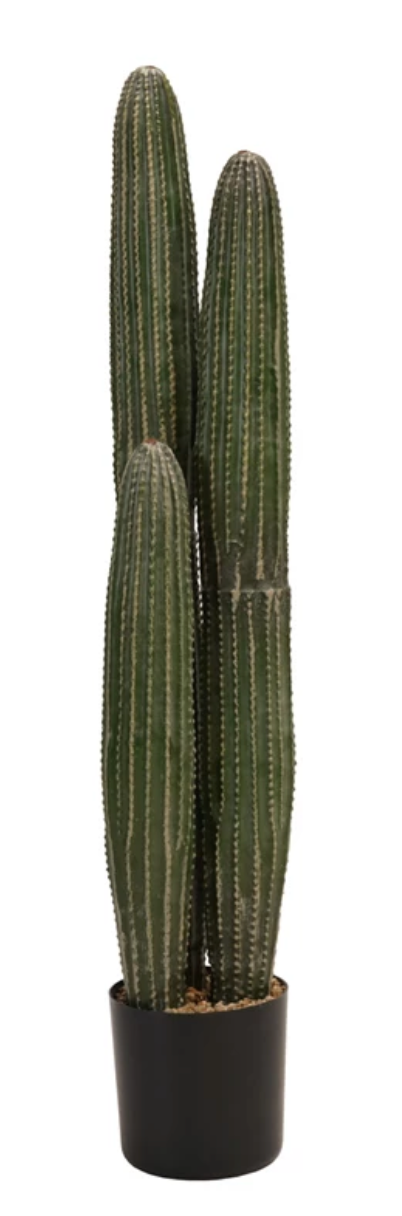 Faux Cactus