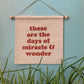 Miracle And Wonder Small Banner