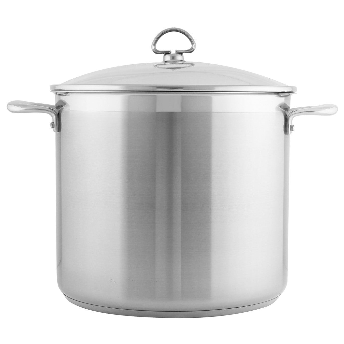 Induction 21 Steel Stockpot with Lid (12 Qt.) CHANTAL